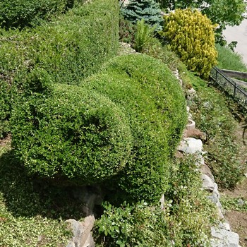 Manutenzione del verde | Gallery