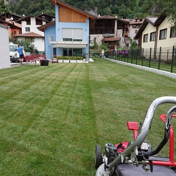 Manutenzione del verde | Gallery