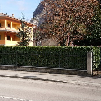 Manutenzione del verde | Gallery