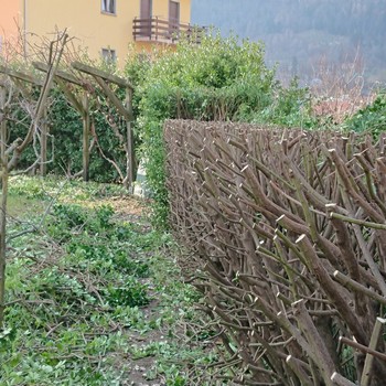 Manutenzione del verde | Gallery
