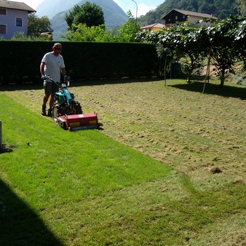 Manutenzione del verde | Gallery