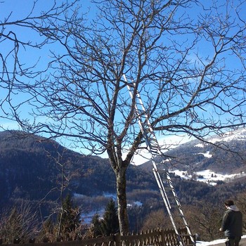 Manutenzione del verde | Gallery