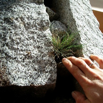 Realizzazioni | Gallery